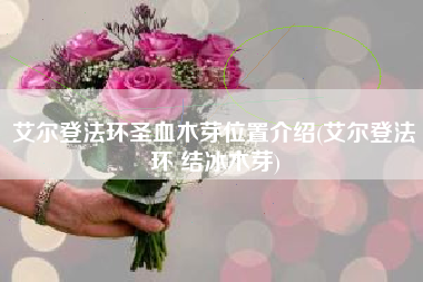 艾尔登法环圣血木芽位置介绍(艾尔登法环 结冰木芽)