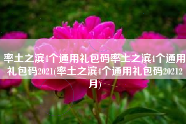 率土之滨4个通用礼包码率土之滨4个通用礼包码2021(率土之滨4个通用礼包码20212月)