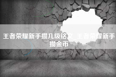 王者荣耀新手攒几级铭文_王者荣耀新手攒金币