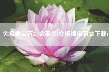 究极绿宝石5.3金手指(究极绿宝石5.3下载)