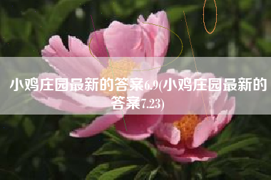 小鸡庄园最新的答案6.9(小鸡庄园最新的答案7.23)