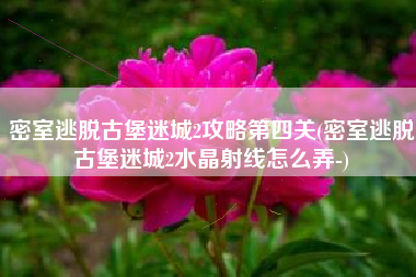 密室逃脱古堡迷城2攻略第四关(密室逃脱古堡迷城2水晶射线怎么弄-)