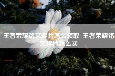 王者荣耀铭文碎片怎么领取_王者荣耀铭文碎片怎么买