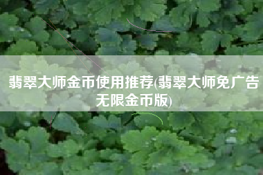 翡翠大师金币使用推荐(翡翠大师免广告无限金币版)