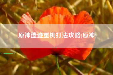 原神遗迹重机打法攻略(原神)