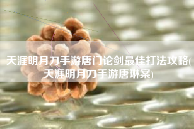 天涯明月刀手游唐门论剑最佳打法攻略(天涯明月刀手游唐琳案)