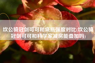 坎公骑冠剑可可和烧瓶强度对比(坎公骑冠剑可可和科学家减房能叠加吗)