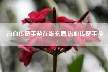 热血传奇手游在线充值,热血传奇手游
