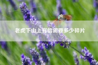 老虎下山上官信需要多少碎片