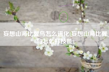 妄想山海比翼鸟怎么进化(妄想山海比翼鸟怎么打技能)