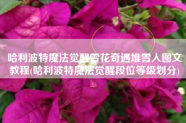 哈利波特魔法觉醒雪花奇遇堆雪人图文教程(哈利波特魔法觉醒段位等级划分)