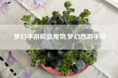 梦幻手游极品宠物,梦幻西游手游
