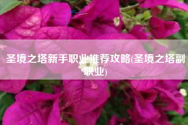 圣境之塔新手职业推荐攻略(圣境之塔副职业)