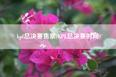 kpl总决赛售票(KPL总决赛时间)