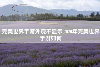 完美世界手游外观不显示,2020年完美世界手游如何