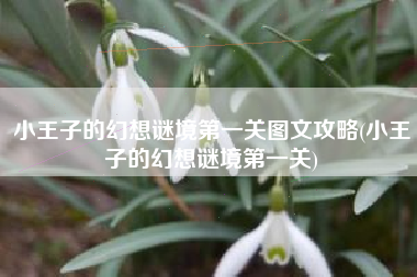 小王子的幻想谜境第一关图文攻略(小王子的幻想谜境第一关)