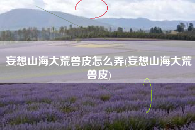 妄想山海大荒兽皮怎么弄(妄想山海大荒兽皮)