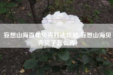 妄想山海百年贝壳打法攻略(妄想山海贝壳房子怎么弄)