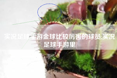 实况足球手游金球比较厉害的球员,实况足球手游里