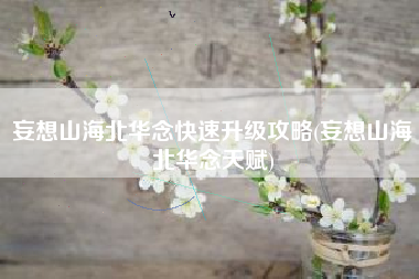 妄想山海北华念快速升级攻略(妄想山海北华念天赋)