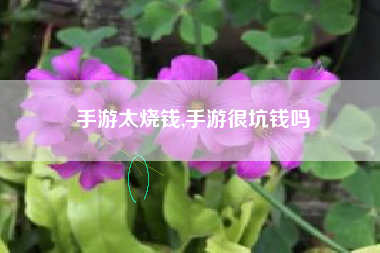 手游太烧钱,手游很坑钱吗