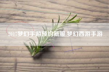 2017梦幻手游预约新服,梦幻西游手游