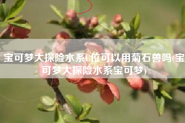 宝可梦大探险水系C位可以用菊石兽吗(宝可梦大探险水系宝可梦)