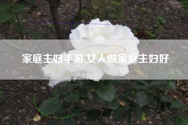 家庭主妇手游,女人做家庭主妇好