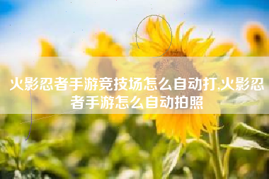 火影忍者手游竞技场怎么自动打,火影忍者手游怎么自动拍照