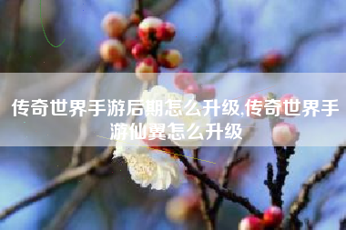 传奇世界手游后期怎么升级,传奇世界手游仙翼怎么升级