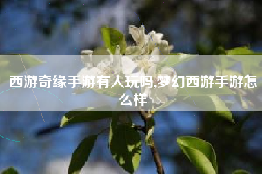 西游奇缘手游有人玩吗,梦幻西游手游怎么样