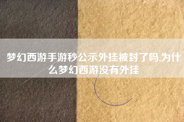 梦幻西游手游秒公示外挂被封了吗,为什么梦幻西游没有外挂