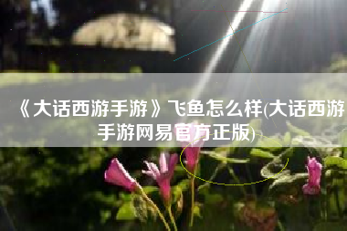《大话西游手游》飞鱼怎么样(大话西游手游网易官方正版)