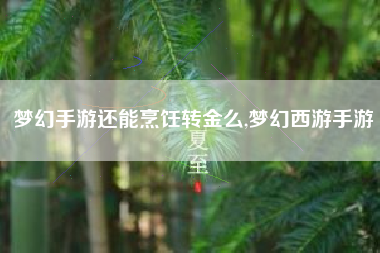 梦幻手游还能烹饪转金么,梦幻西游手游