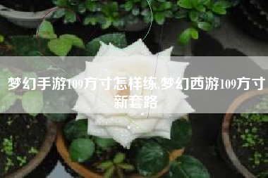 梦幻手游109方寸怎样练,梦幻西游109方寸新套路