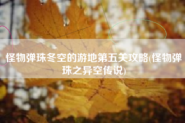 怪物弹珠冬空的游地第五关攻略(怪物弹珠之异空传说)