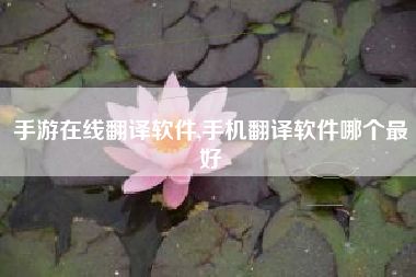 手游在线翻译软件,手机翻译软件哪个最好