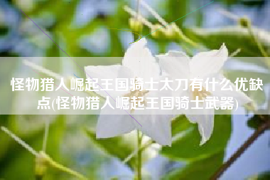 怪物猎人崛起王国骑士太刀有什么优缺点(怪物猎人崛起王国骑士武器)