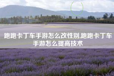 跑跑卡丁车手游怎么改性别,跑跑卡丁车手游怎么提高技术