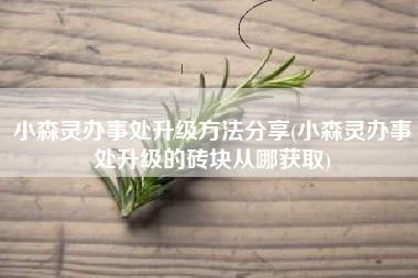 小森灵办事处升级方法分享(小森灵办事处升级的砖块从哪获取)