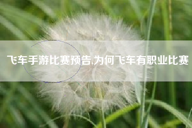 飞车手游比赛预告,为何飞车有职业比赛