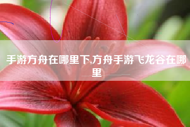 手游方舟在哪里下,方舟手游飞龙谷在哪里