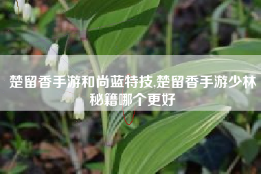 楚留香手游和尚蓝特技,楚留香手游少林秘籍哪个更好