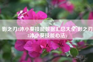 影之刃3沐小葵技能数据汇总大全(影之刃3沐小葵技能心法)