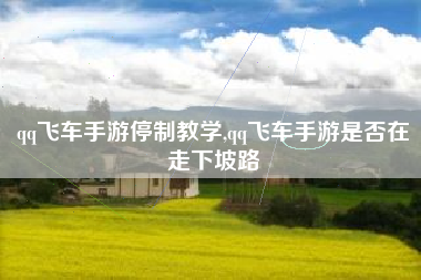 qq飞车手游停制教学,qq飞车手游是否在走下坡路