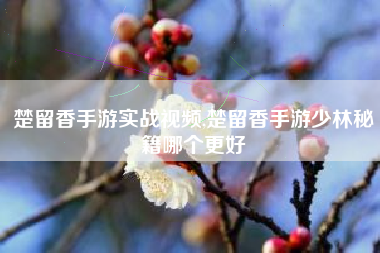 楚留香手游实战视频,楚留香手游少林秘籍哪个更好