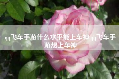 qq飞车手游什么水平能上车神,qq飞车手游想上车神