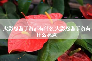 火影忍者手游都有什么,火影忍者手游有什么亮点