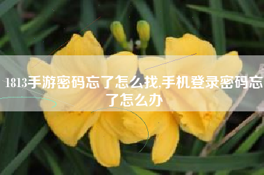 1813手游密码忘了怎么找,手机登录密码忘了怎么办