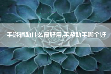 手游辅助什么最好用,手游助手哪个好